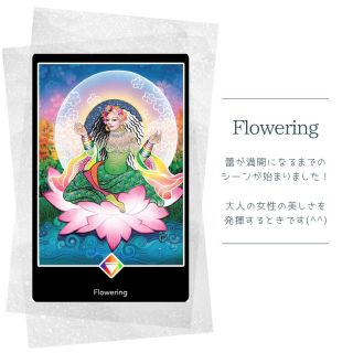 Osho禅タロット講座 ますいゆか